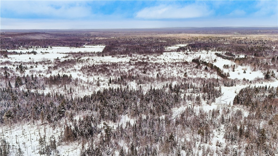 Fisher Road Cold Brook, NY 13324 - Photo 7 of 7