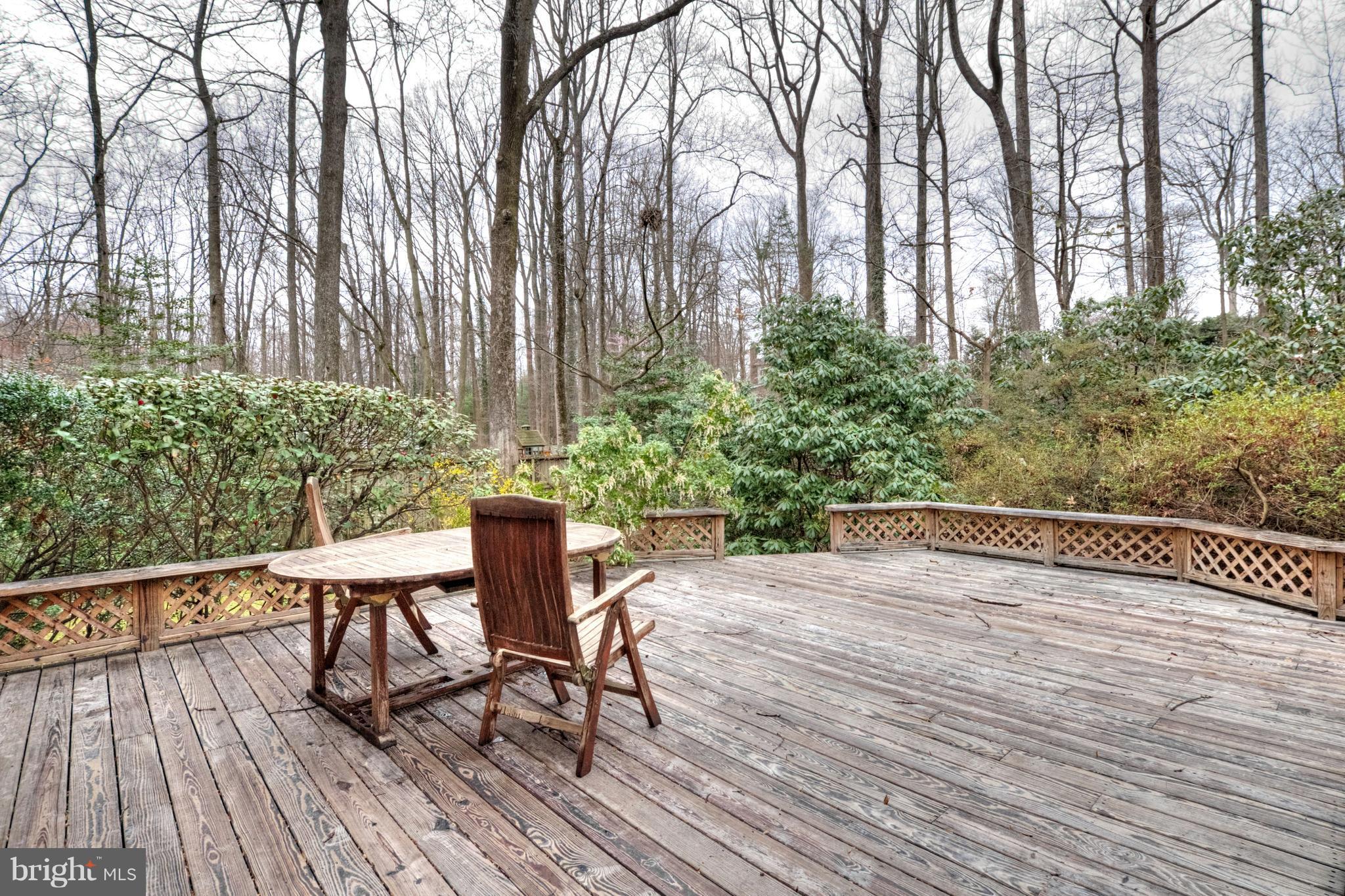 5006 Gunpowder Road Fairfax, VA 22030 - Photo 19 of 26 Exterior (Rear)