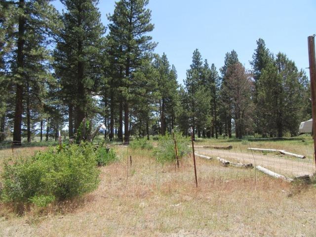 450 Oregon Pines Road Sprague River, OR 97639 - Photo 9 of 32 Additional Photo