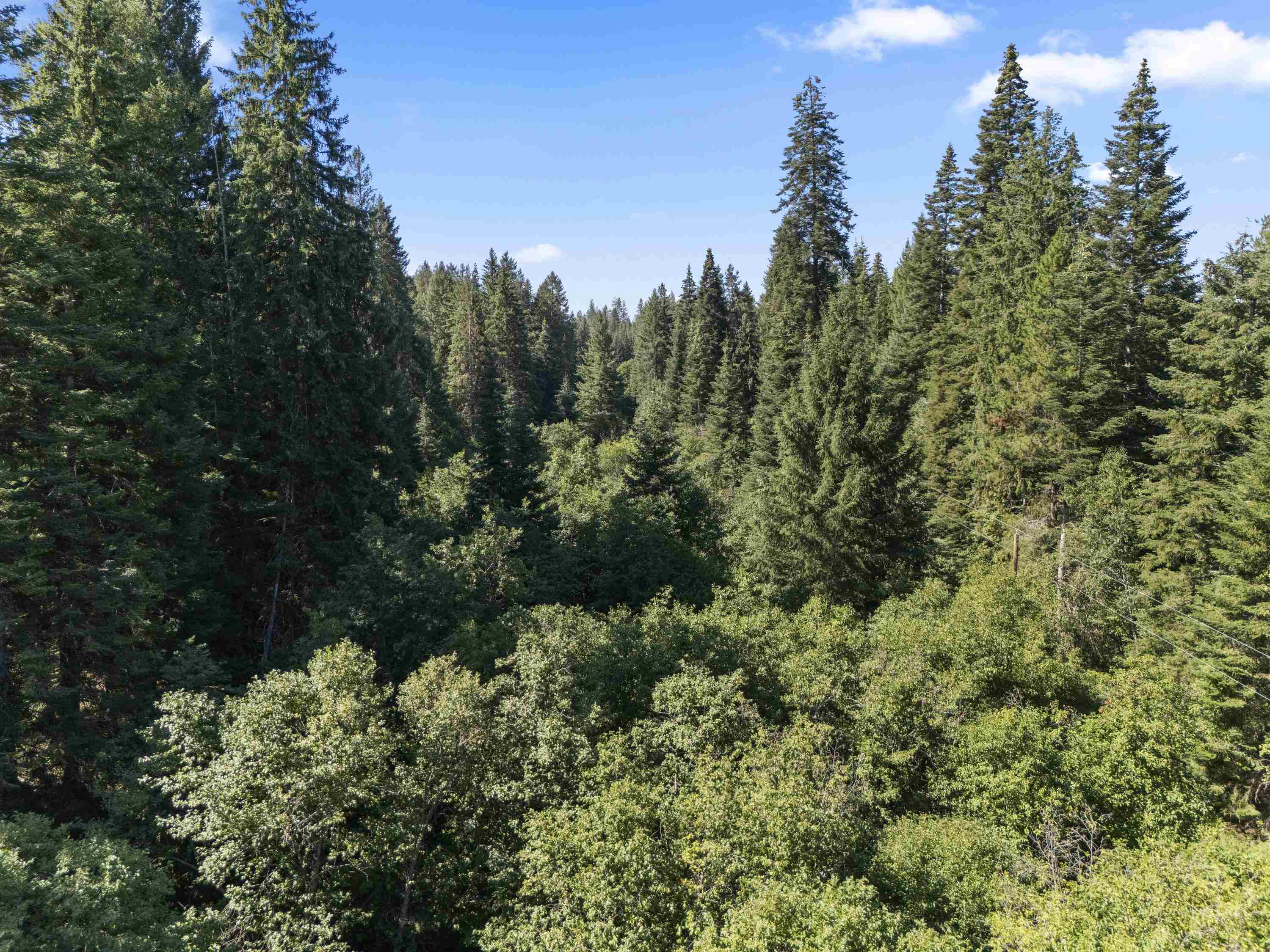 114-xx East Antler Road Chattaroy, WA 99003 - Photo 14 of 42