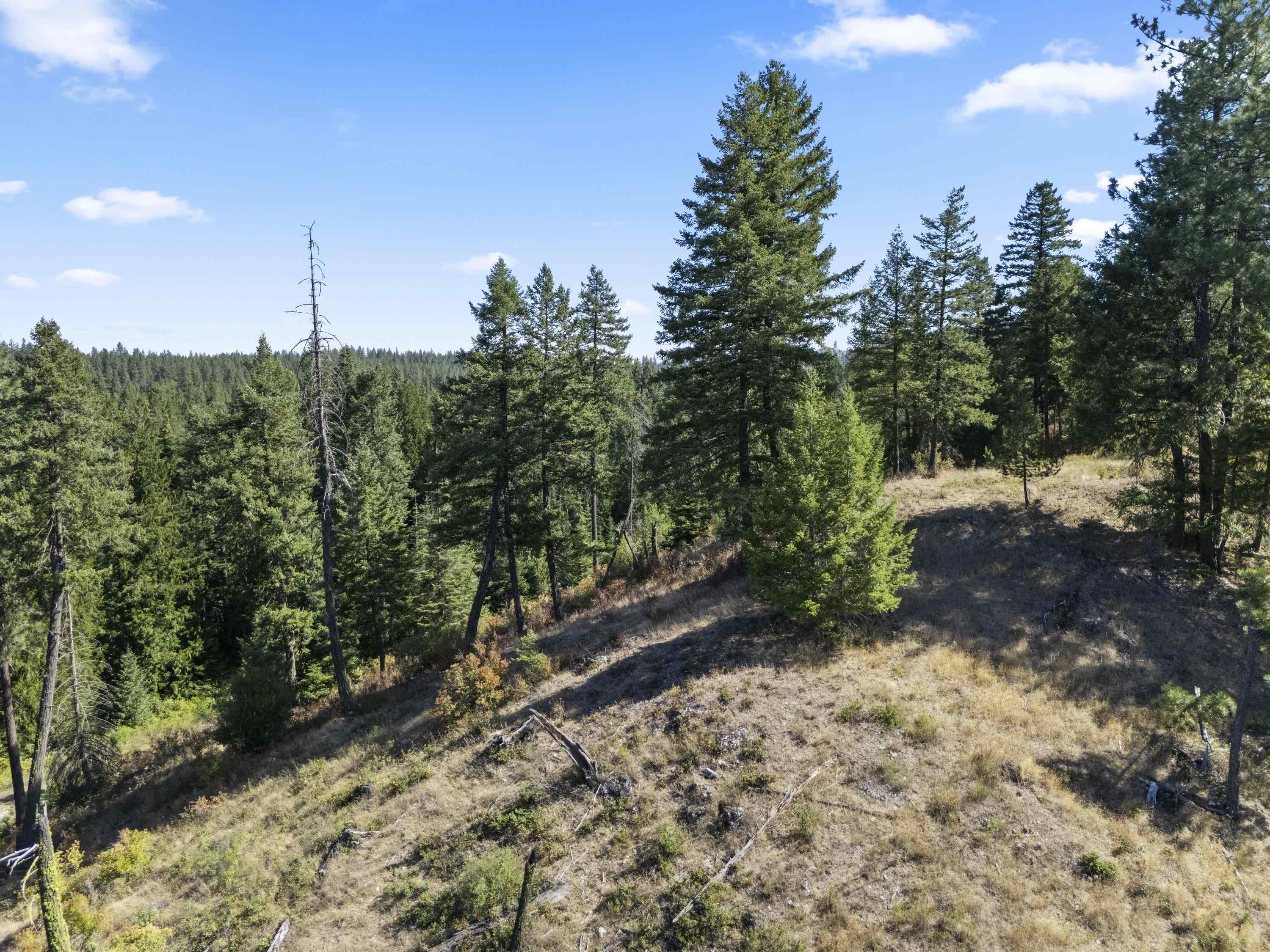 114-xx East Antler Road Chattaroy, WA 99003 - Photo 30 of 42