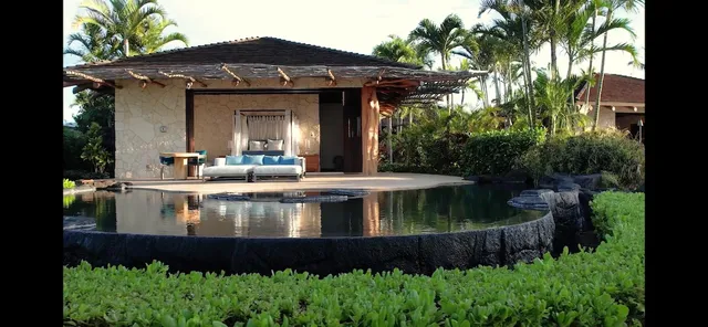 a view of a backyard