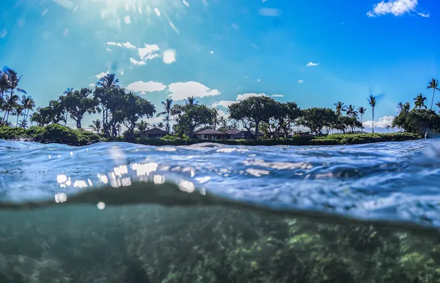a view of a table and chairs under an umbrella in patio of a house