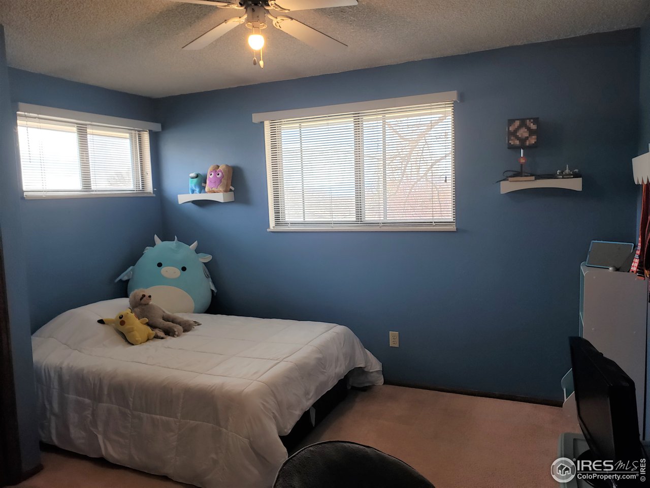 1107 Fordham Street Longmont, CO 80503 - Photo 21 of 39