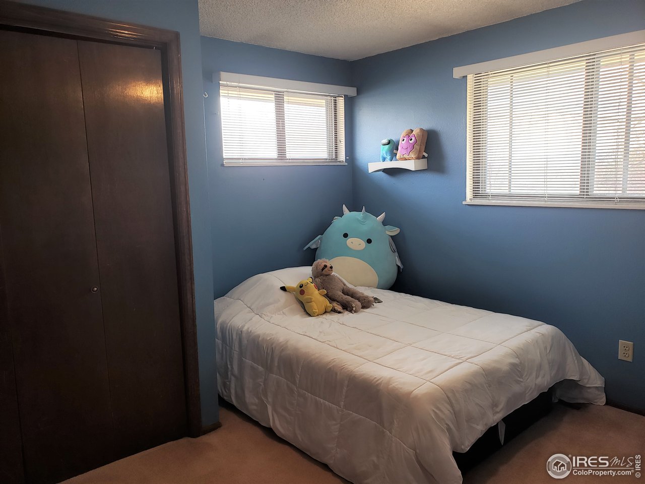 1107 Fordham Street Longmont, CO 80503 - Photo 22 of 39
