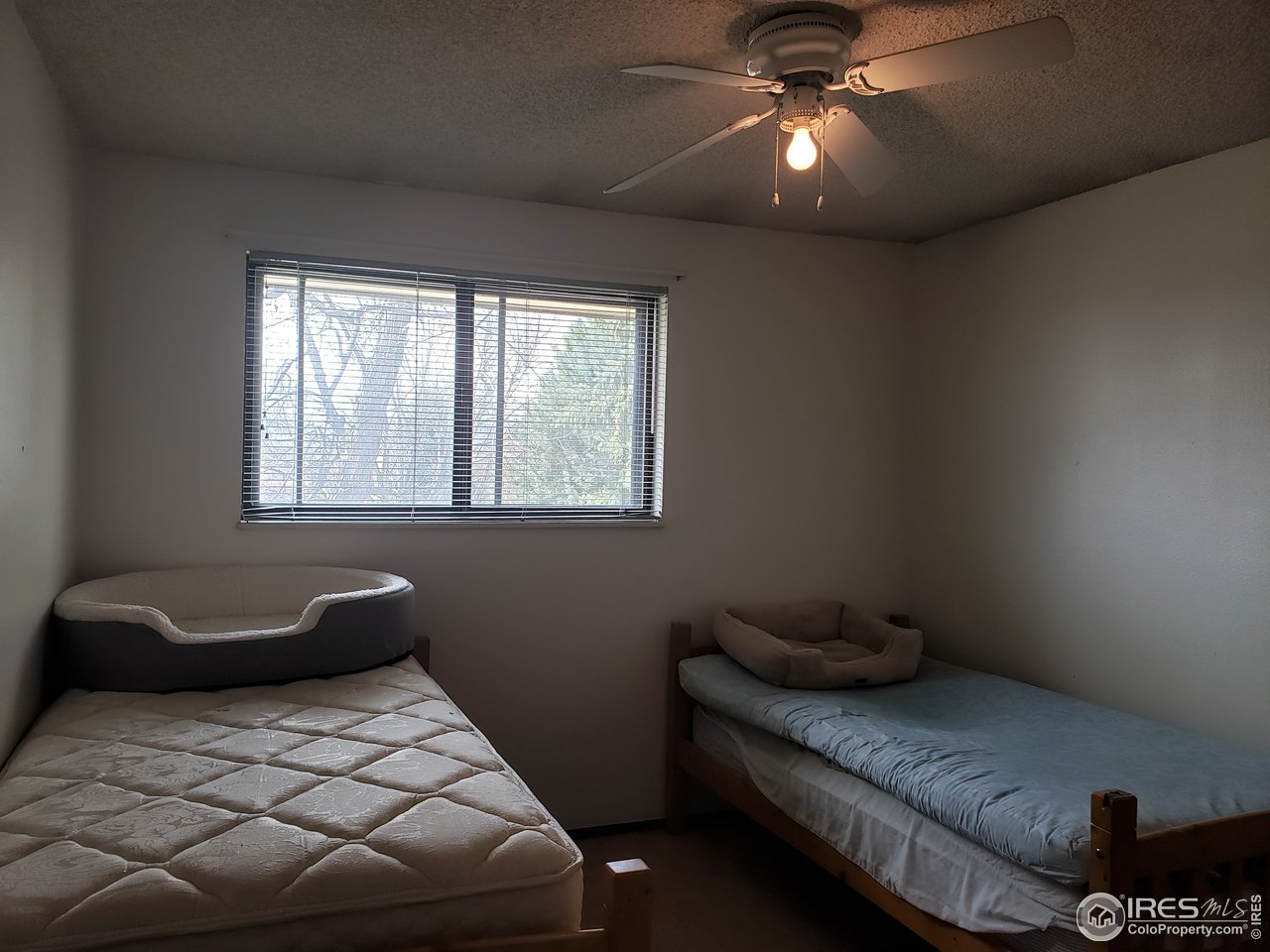 1107 Fordham Street Longmont, CO 80503 - Photo 25 of 39
