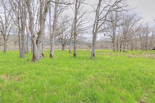 425 Holmstead Road Williams, OR 97544 - Photo 22 of 26 outbuilding
