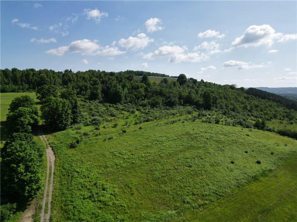 2857 County Rte 84 Troupsburg, NY 14885 - Photo 16 of 50