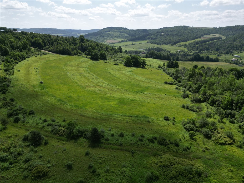 2857 County Rte 84 Troupsburg, NY 14885 - Photo 21 of 50