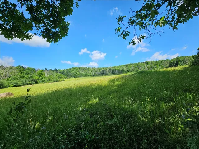 $280,000 | 2857 County Rte 84, Troupsburg, NY 14885