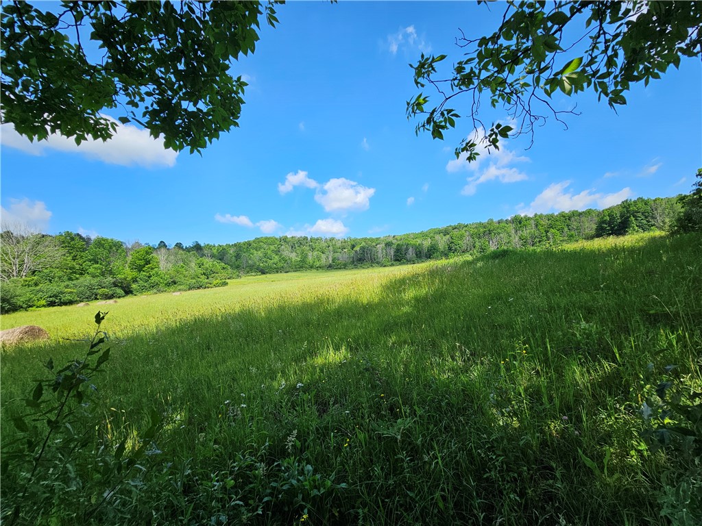 2857 County Rte 84 Troupsburg, NY 14885 - Photo 23 of 50