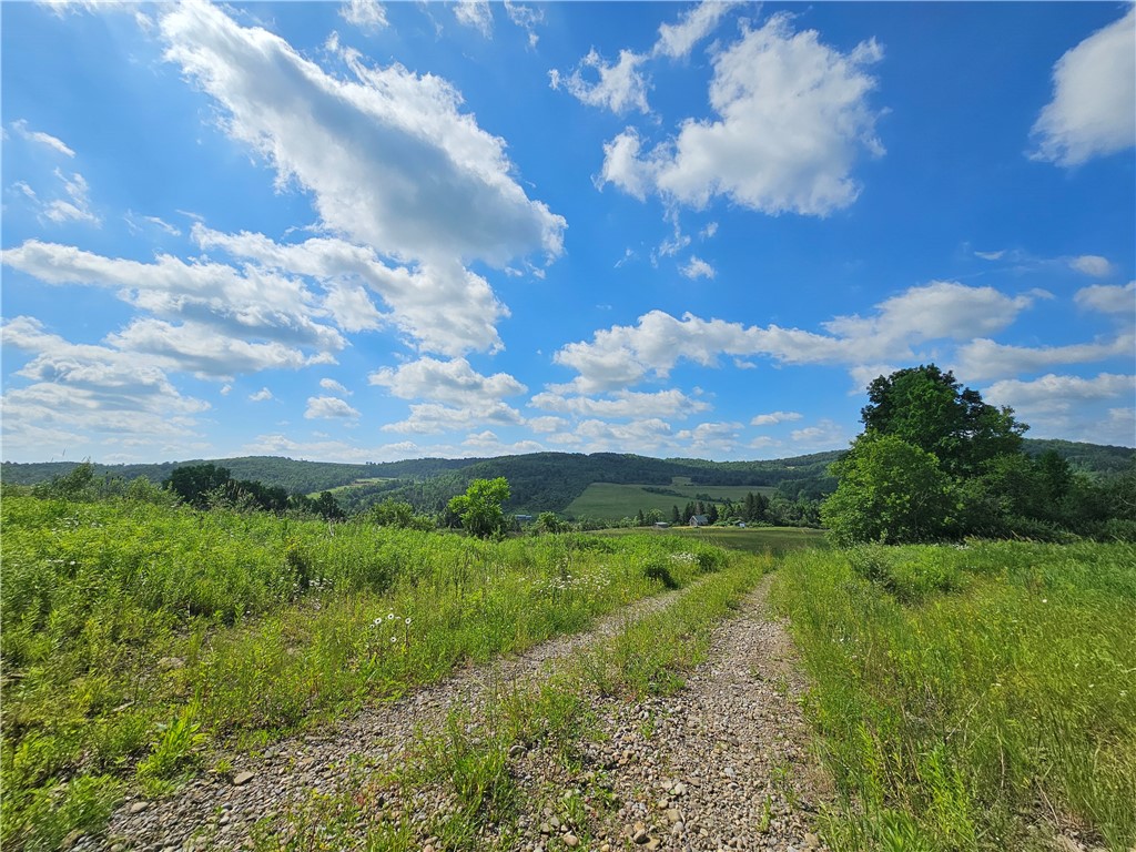 2857 County Rte 84 Troupsburg, NY 14885 - Photo 24 of 50
