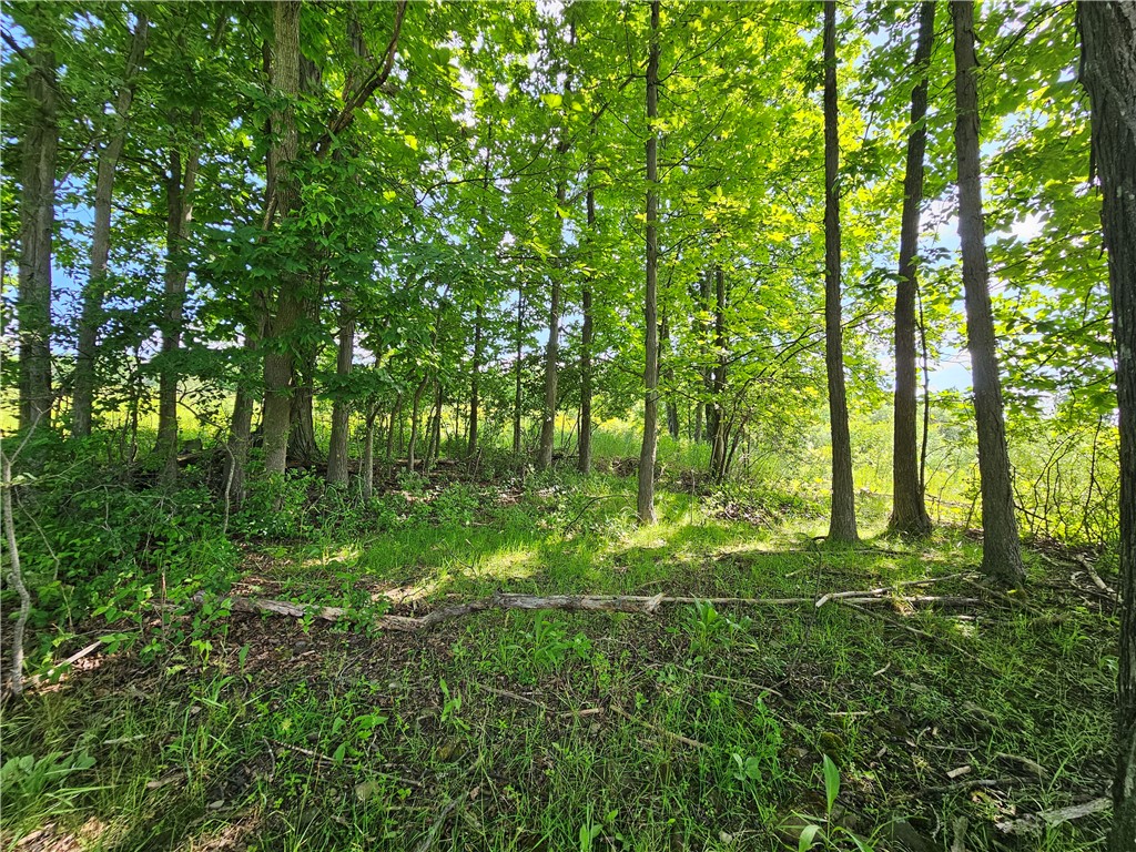 2857 County Rte 84 Troupsburg, NY 14885 - Photo 25 of 50