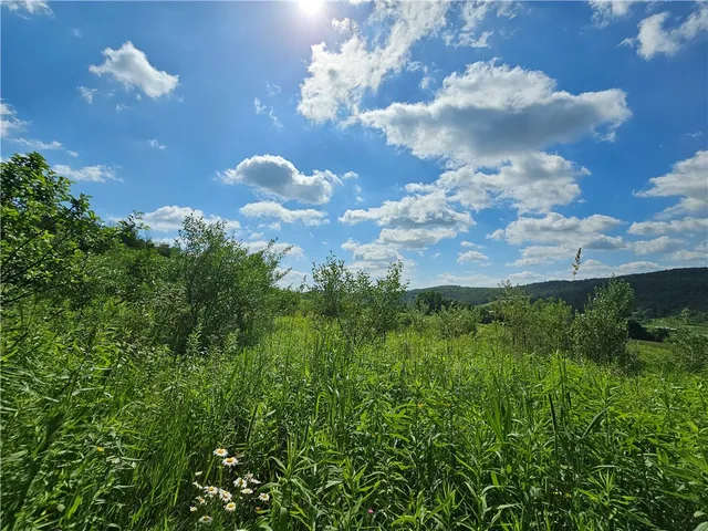 $280,000 | 2857 County Rte 84, Troupsburg, NY 14885