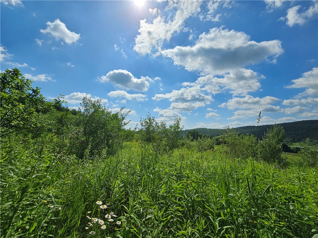 2857 County Rte 84 Troupsburg, NY 14885 - Photo 26 of 50