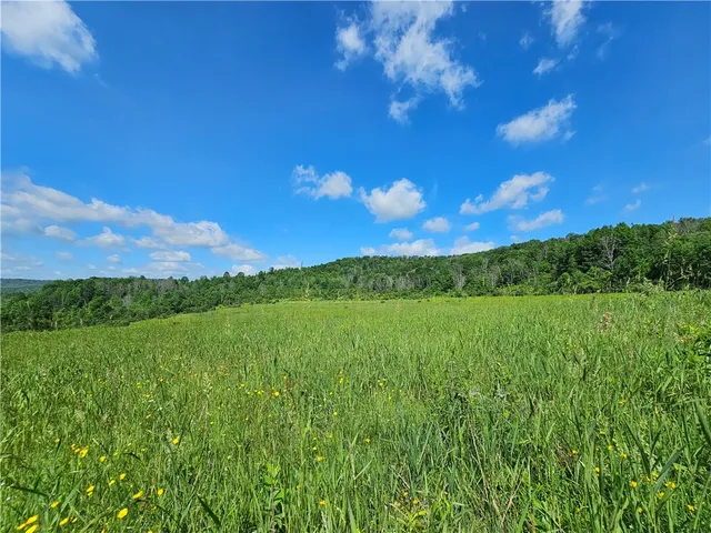 $280,000 | 2857 County Rte 84, Troupsburg, NY 14885