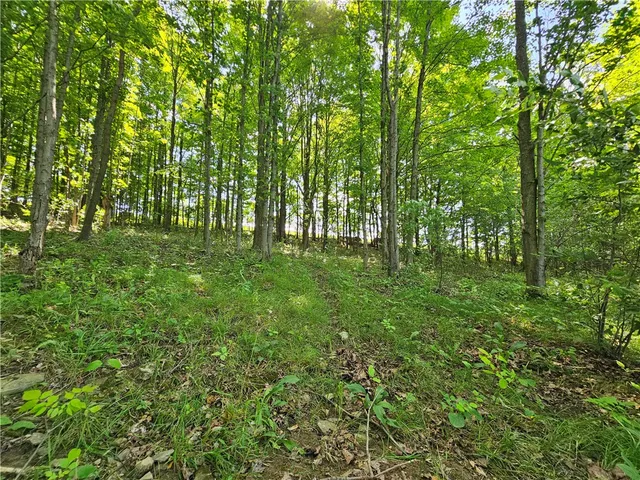 $280,000 | 2857 County Rte 84, Troupsburg, NY 14885