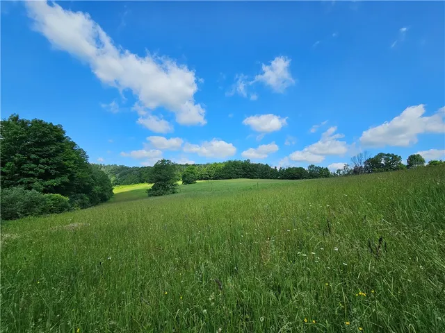 $280,000 | 2857 County Rte 84, Troupsburg, NY 14885