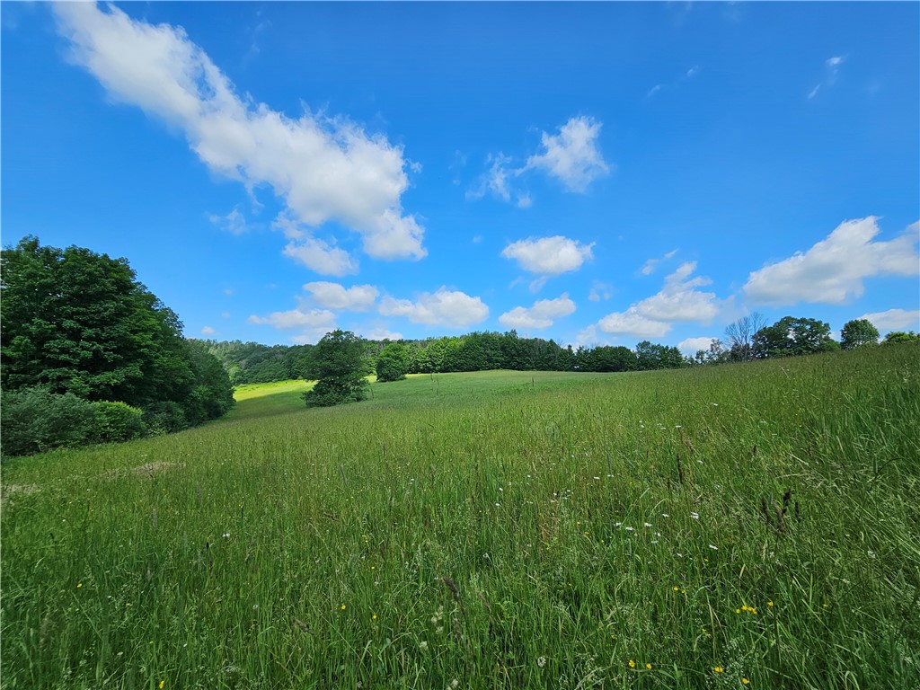 2857 County Rte 84 Troupsburg, NY 14885 - Photo 29 of 50