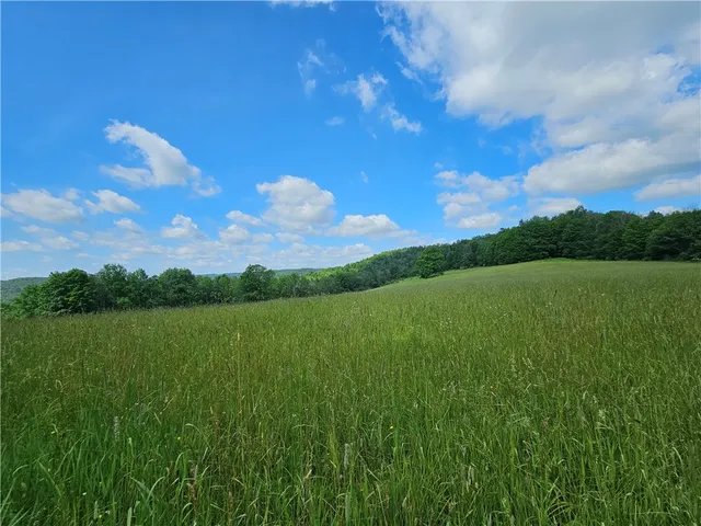 $280,000 | 2857 County Rte 84, Troupsburg, NY 14885