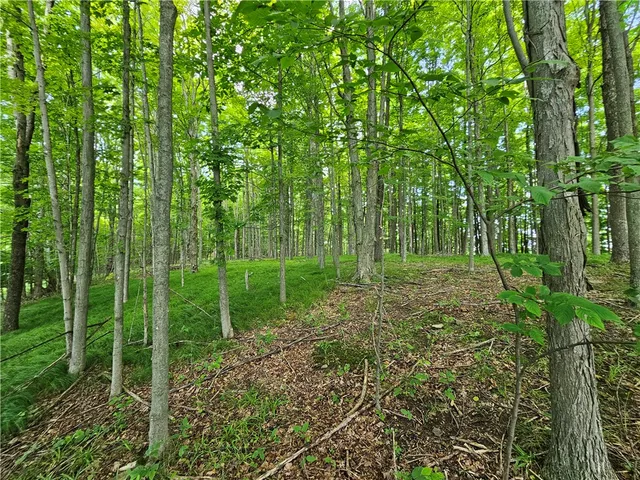 $280,000 | 2857 County Rte 84, Troupsburg, NY 14885