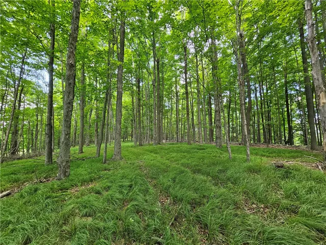 $280,000 | 2857 County Rte 84, Troupsburg, NY 14885