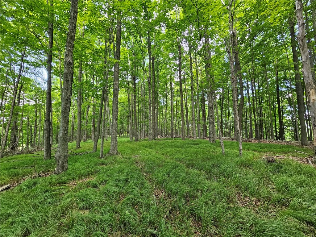 2857 County Rte 84 Troupsburg, NY 14885 - Photo 33 of 50