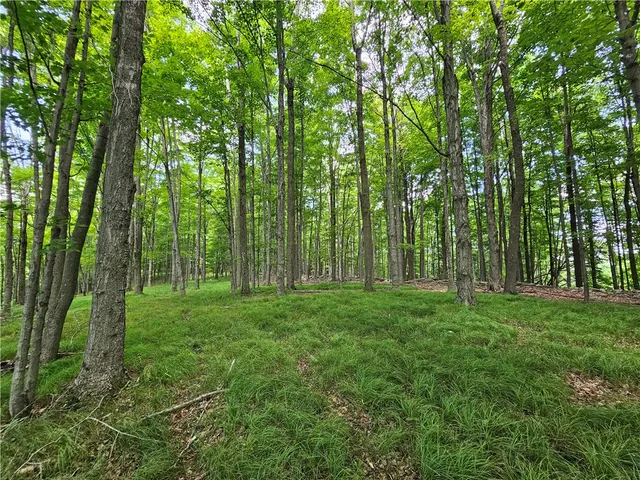 $280,000 | 2857 County Rte 84, Troupsburg, NY 14885