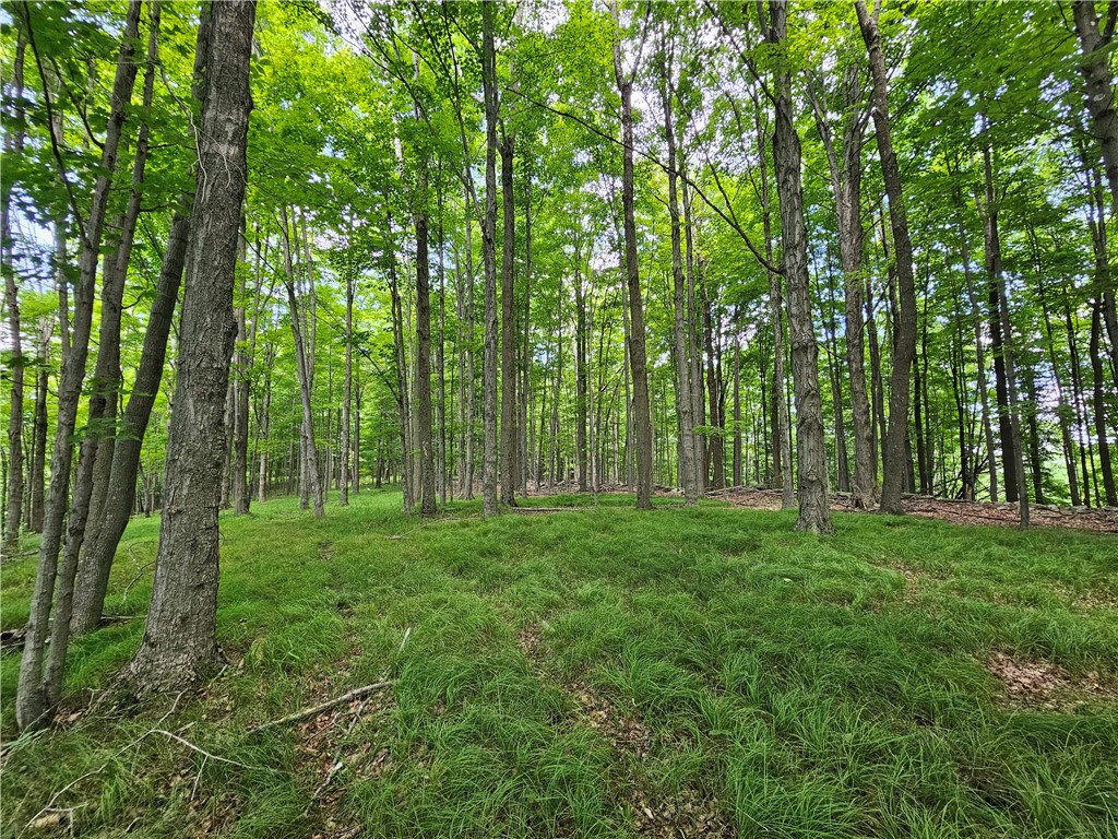 2857 County Rte 84 Troupsburg, NY 14885 - Photo 34 of 50