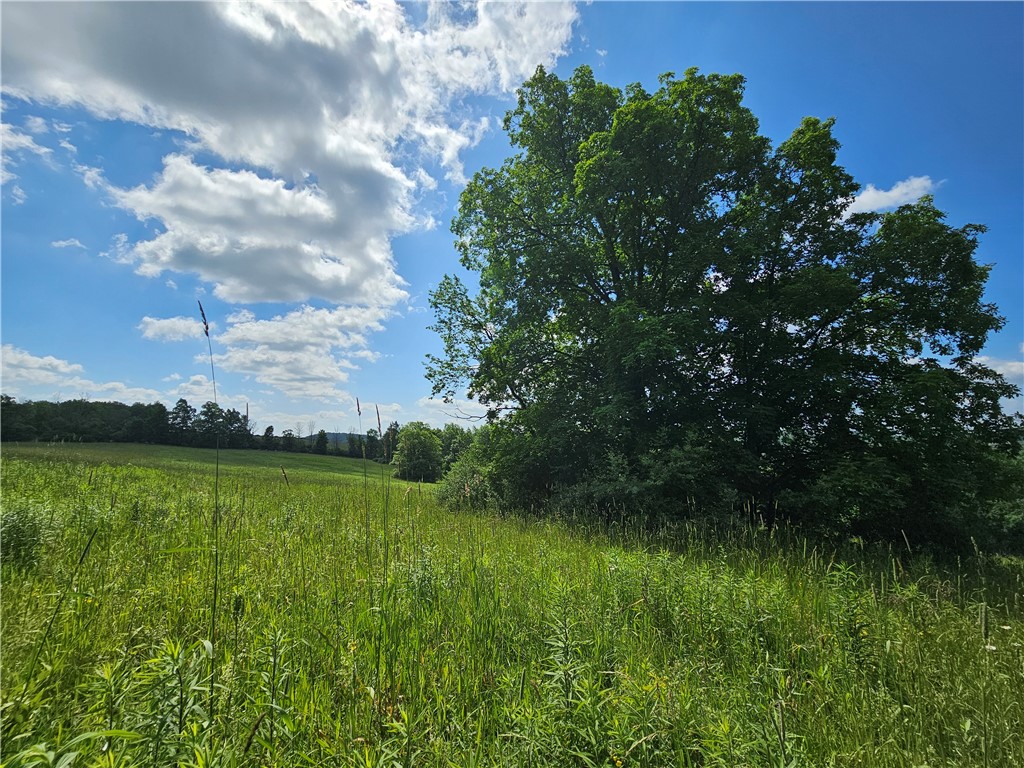 2857 County Rte 84 Troupsburg, NY 14885 - Photo 35 of 50