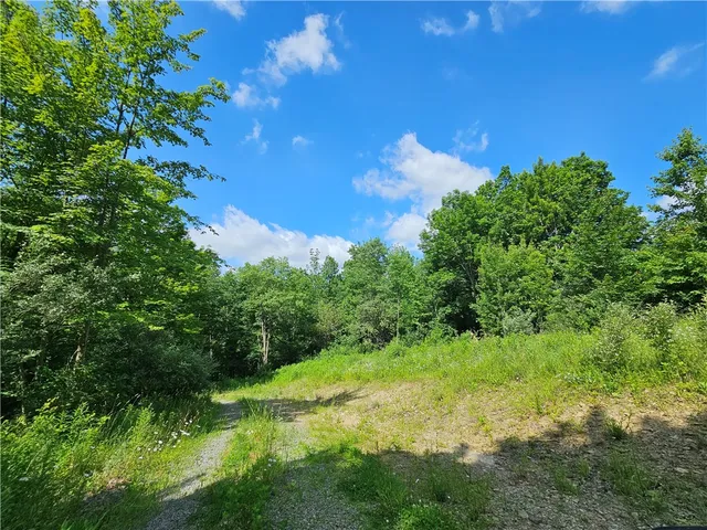 $280,000 | 2857 County Rte 84, Troupsburg, NY 14885