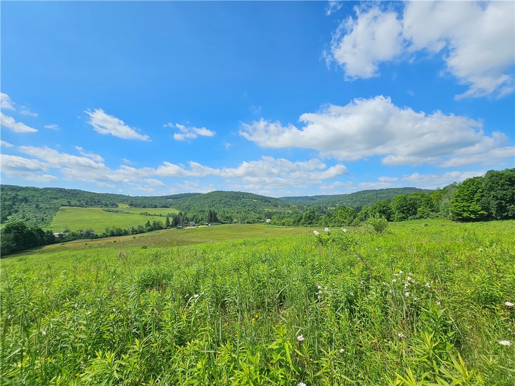 2857 County Rte 84 Troupsburg, NY 14885 - Photo 37 of 50