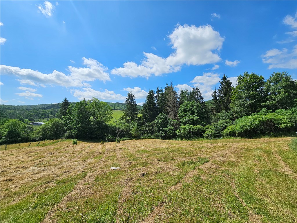 2857 County Rte 84 Troupsburg, NY 14885 - Photo 6 of 50