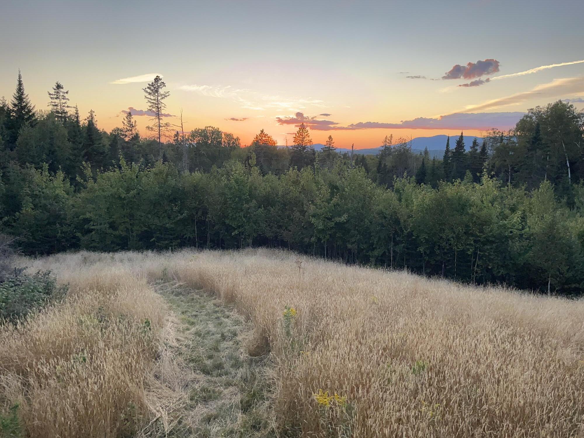 620 Dallas Hill Road Dallas Plt, ME 04970 - Photo 1 of 4 IMG_5022