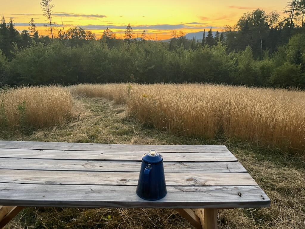 620 Dallas Hill Road Dallas Plt, ME 04970 - Photo 2 of 5 IMG_4950