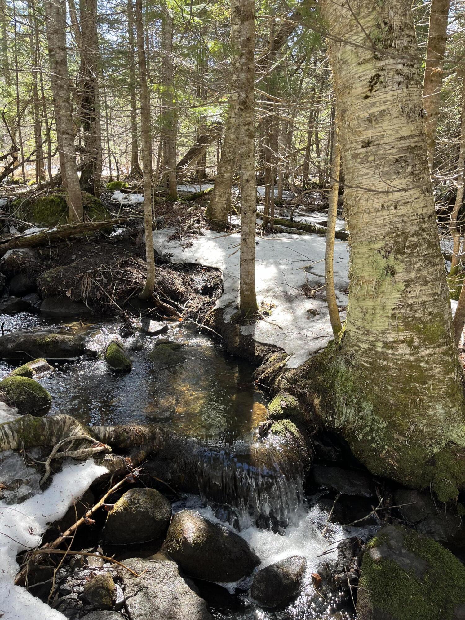 620 Dallas Hill Road Dallas Plt, ME 04970 - Photo 3 of 5 IMG_7446