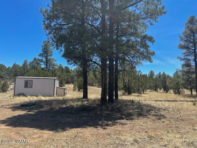 3207 Bigler Road Overgaard, AZ 85933 - Photo 3 of 5 Gallery Image 3