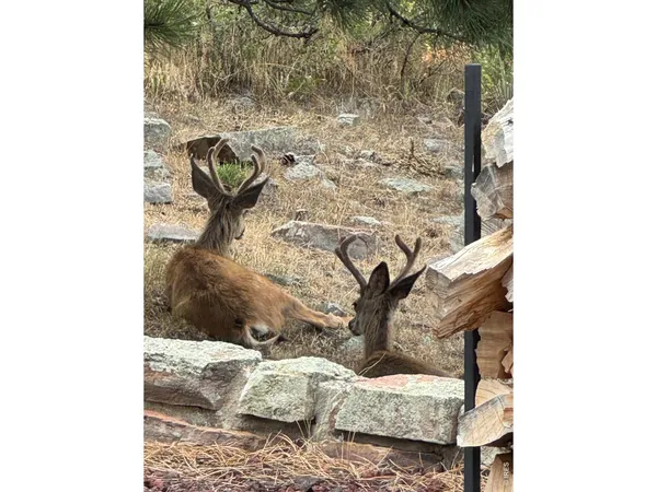 $1,325,000 | 15757 Moss Rock Court, Longmont, CO 80503