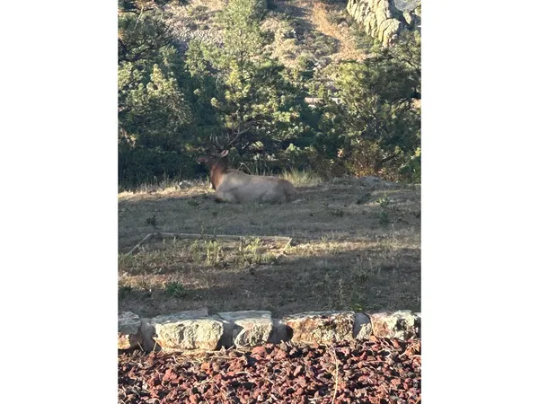 $1,325,000 | 15757 Moss Rock Court, Longmont, CO 80503