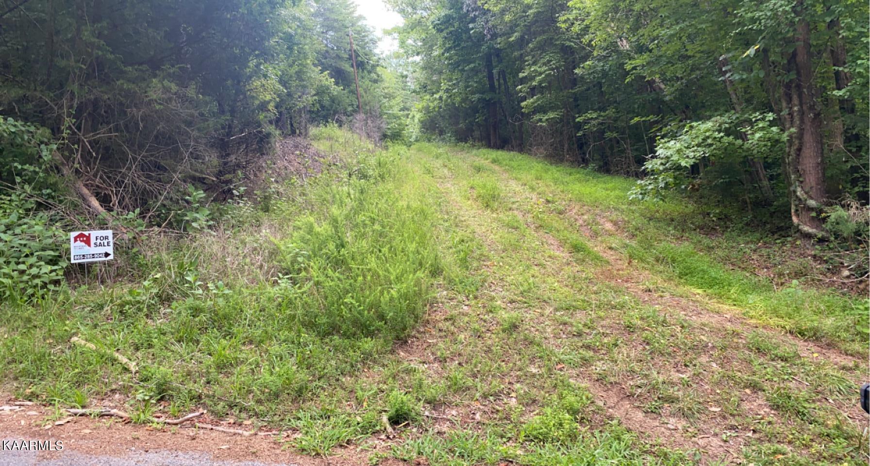 Look Out Drive Spring City, TN 37381 - Photo 2 of 10 R.O.W. / driveway