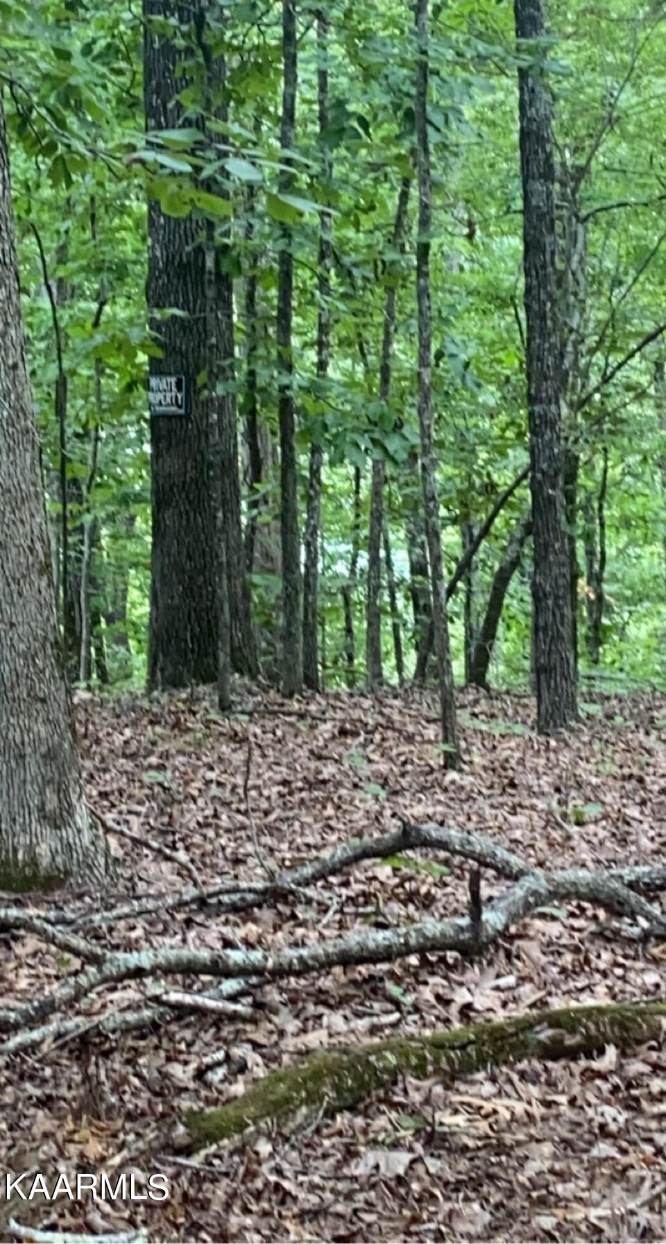 Look Out Drive Spring City, TN 37381 - Photo 8 of 10 FF84E516-EC1B-4836-9515-004B9F7A2A90