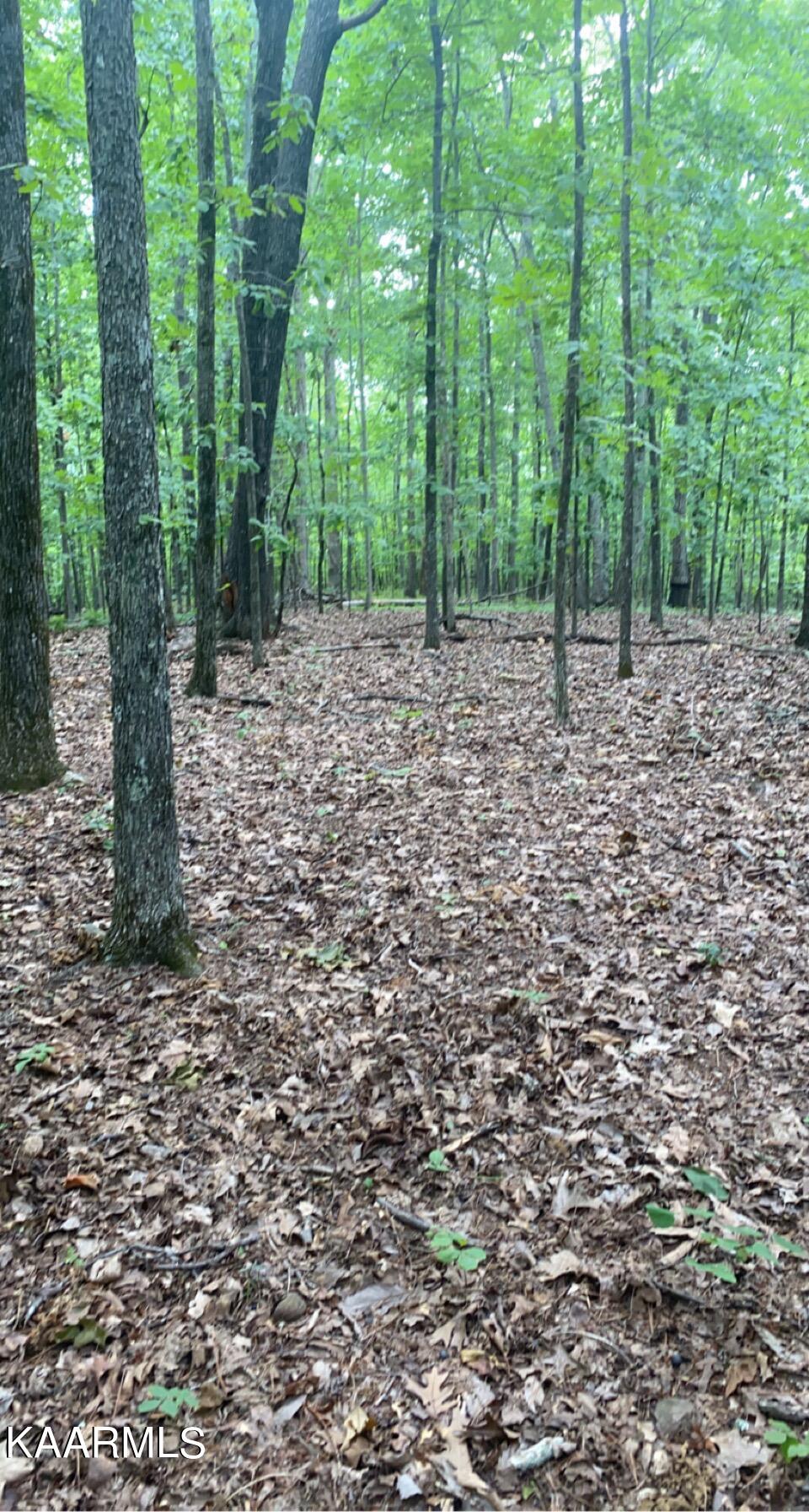 Look Out Drive Spring City, TN 37381 - Photo 10 of 10 07757F7C-7083-4A1D-83E5-365CB5C74209