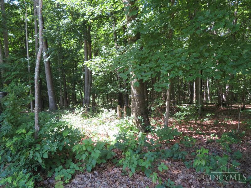 459 Greenbrier Road Seaman, OH 45679 - Photo 55 of 55