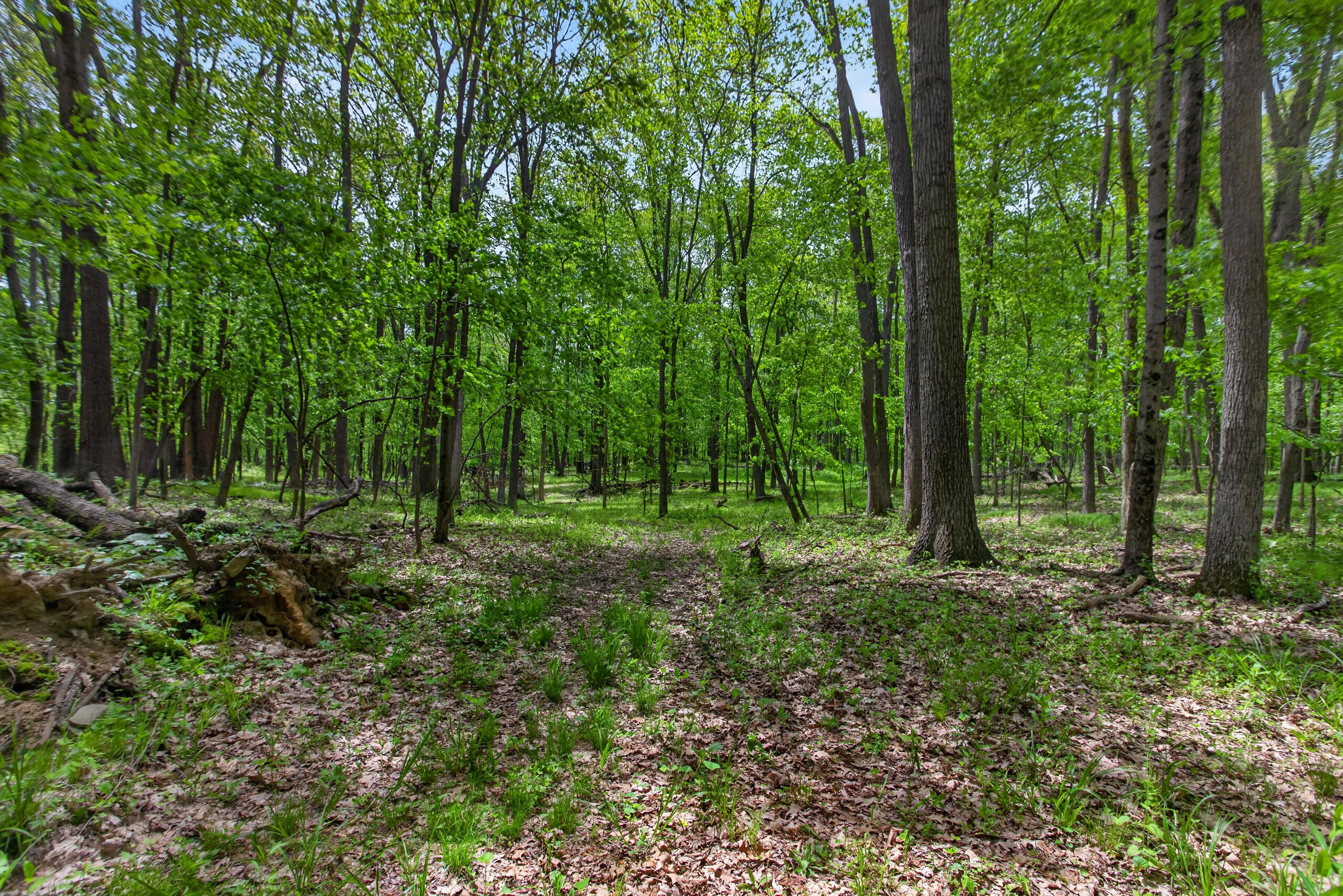 4681 Folks Road Horton, MI 49246 - Photo 61 of 69 IMG_9500