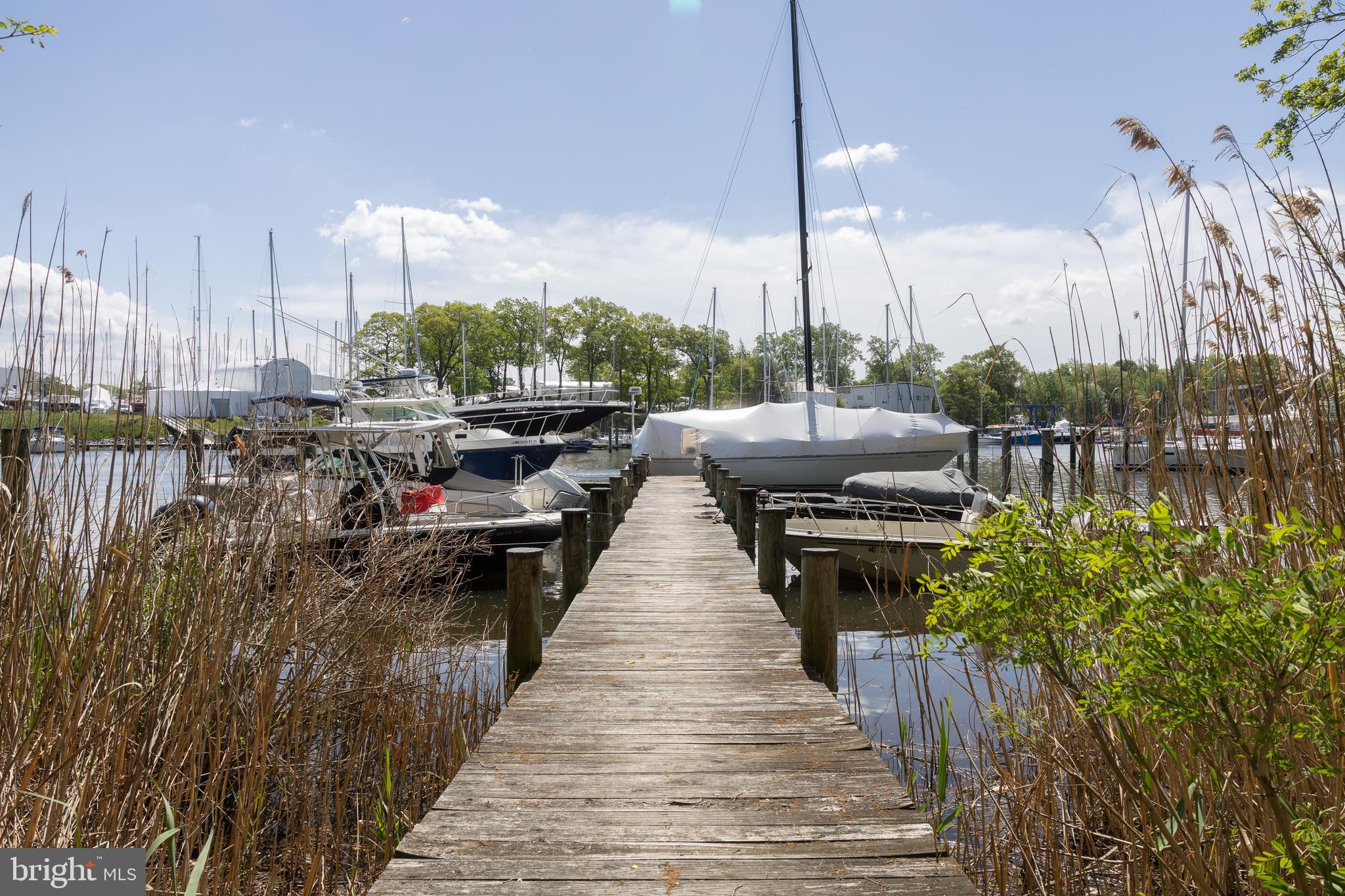 1303 Bay Ridge Avenue Annapolis, MD 21403 - Photo 23 of 29 Parkwood Community dock