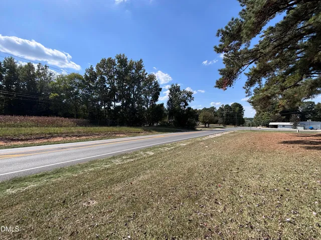 a big tree in middle of the garden