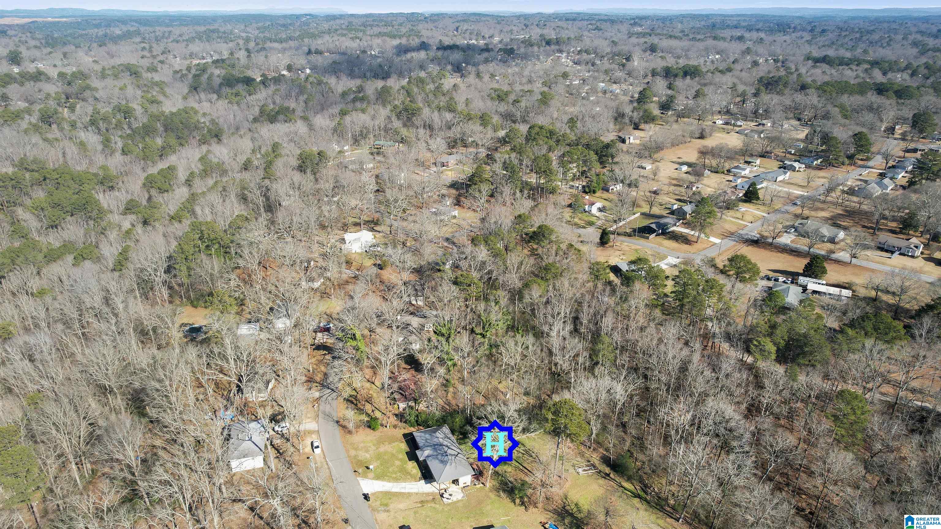 910 Westwood Road Mount Olive, AL 35117 - Photo 32 of 46