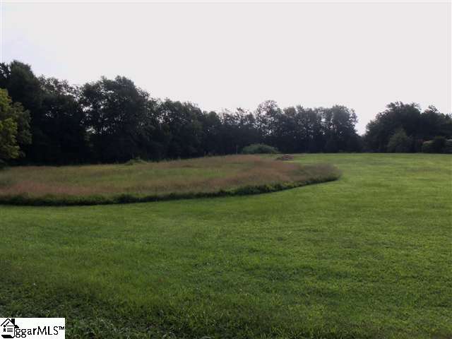 0 Holston Creek Church Road Inman, SC 29349 - Photo 1 of 1