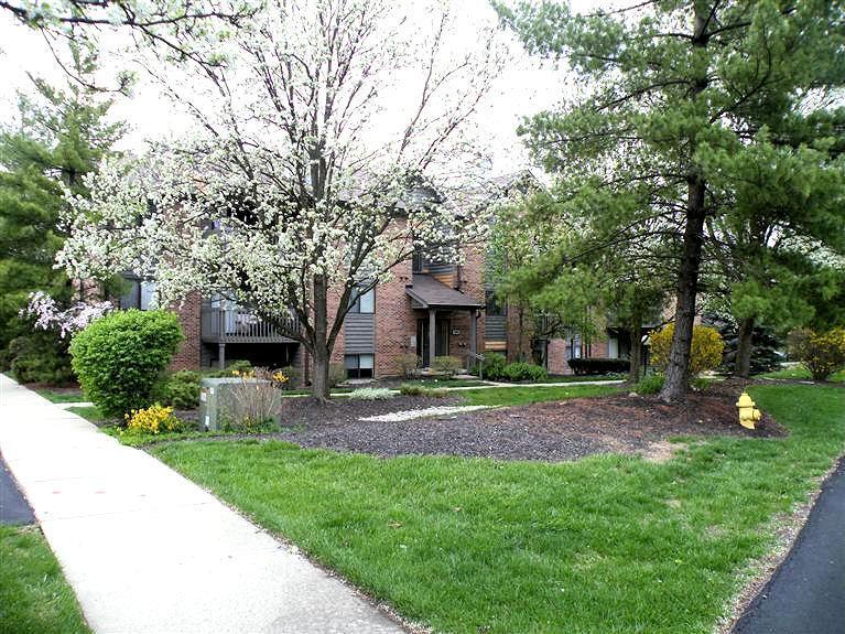 7631 Montgomery Road, Unit 1 Cincinnati, OH 45236 - Photo 1 of 1