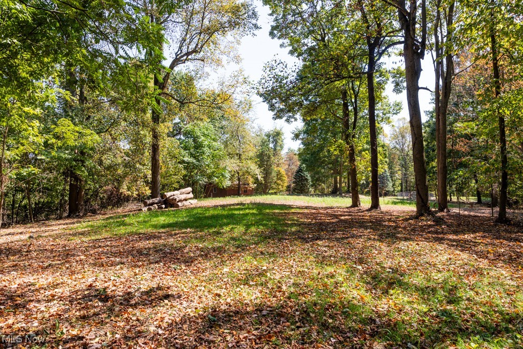 7281 Crowder Road Southwest Sherrodsville, OH 44675 - Photo 6 of 36 View of yard